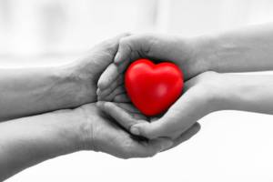 NY Safe Patient Handling