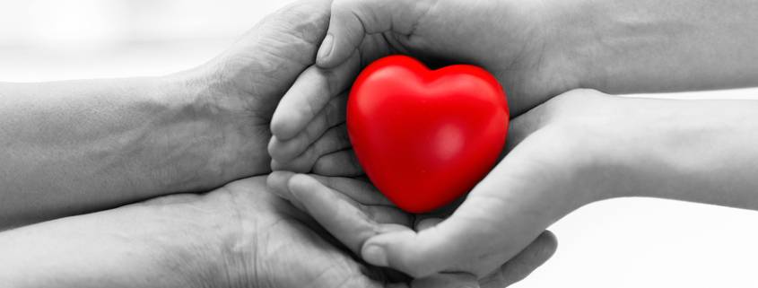 holding a heart in your hands